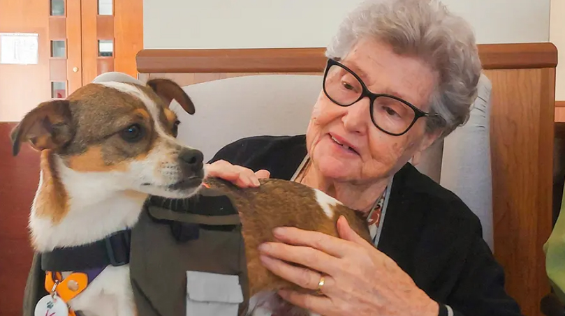 Lee más sobre el artículo ¿Qué son las terapias asistidas con animales en residencias?