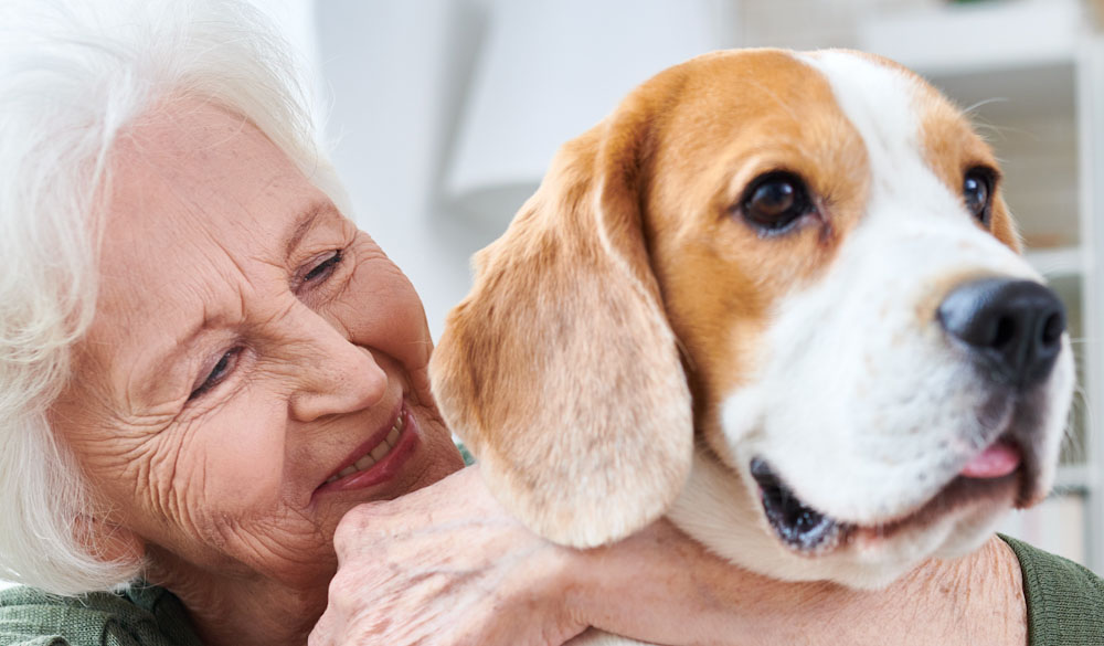 Lee más sobre el artículo Perros para personas mayores